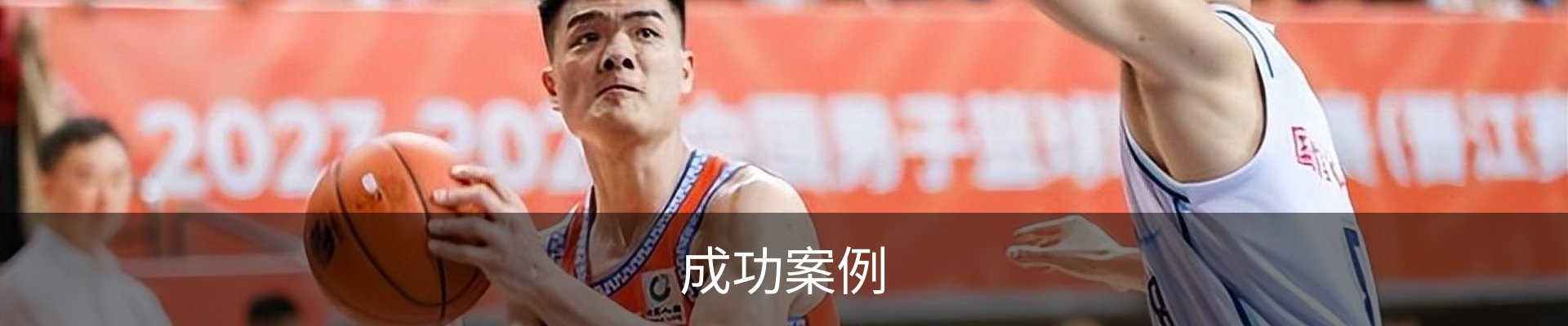 成功案例